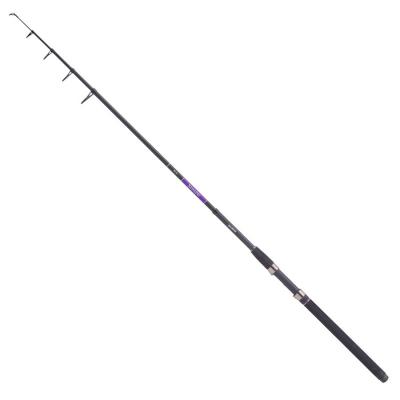 

Удилище Balzer телескоп Xanadu 2,70м. 10-40гр. (11110 270)