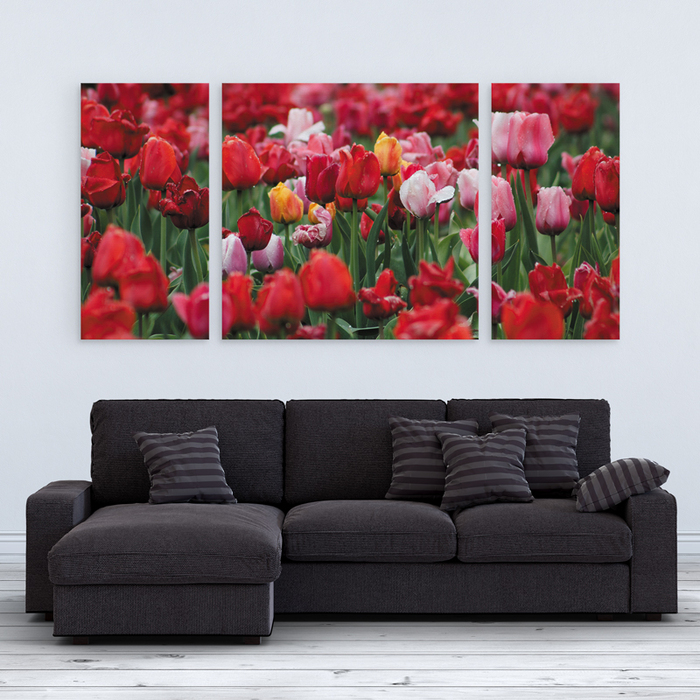 

Модульная картина GUS "Цветы, Тюльпаны #60" 210x100см (XB055 - Модульные картины)