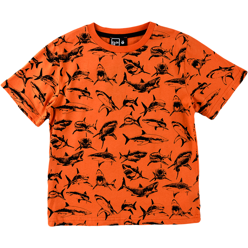 

Футболка для мальчика CLOISE СL0133005-200-2 98 см оранжевый