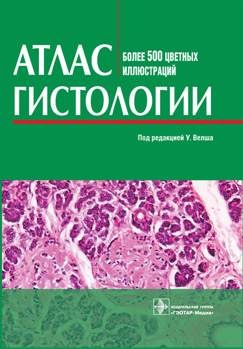 

Атлас гистологии - Под ред. У. Вельша. Пер. с нем. / Под ред. В.В. Банина (978-5-9704-2070-6)