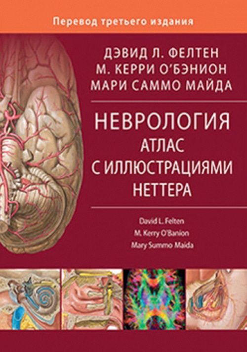 

Неврология. Атлас с иллюстрациями Неттера - Фелтен Д.Л., О’Бэнион М.К., Майда М.С. (978-5-91839-090-0)