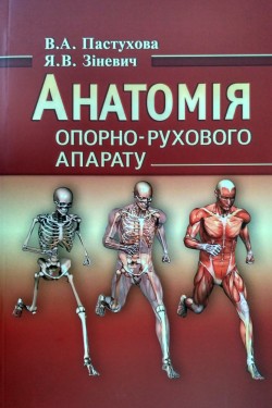 

Анатомія опорно-рухового апарату - Пастухова В.А., Зіневич Я.В. (978-617-7492-00-8)