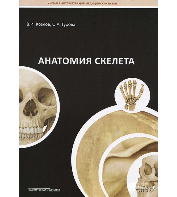 

Анатомия скелета - Козлов В.И. (978-5-98811-309-6)