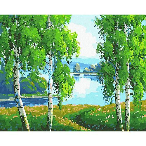 

Картина по номерам "Берёзовая роща" Rainbow Art (GX39399)