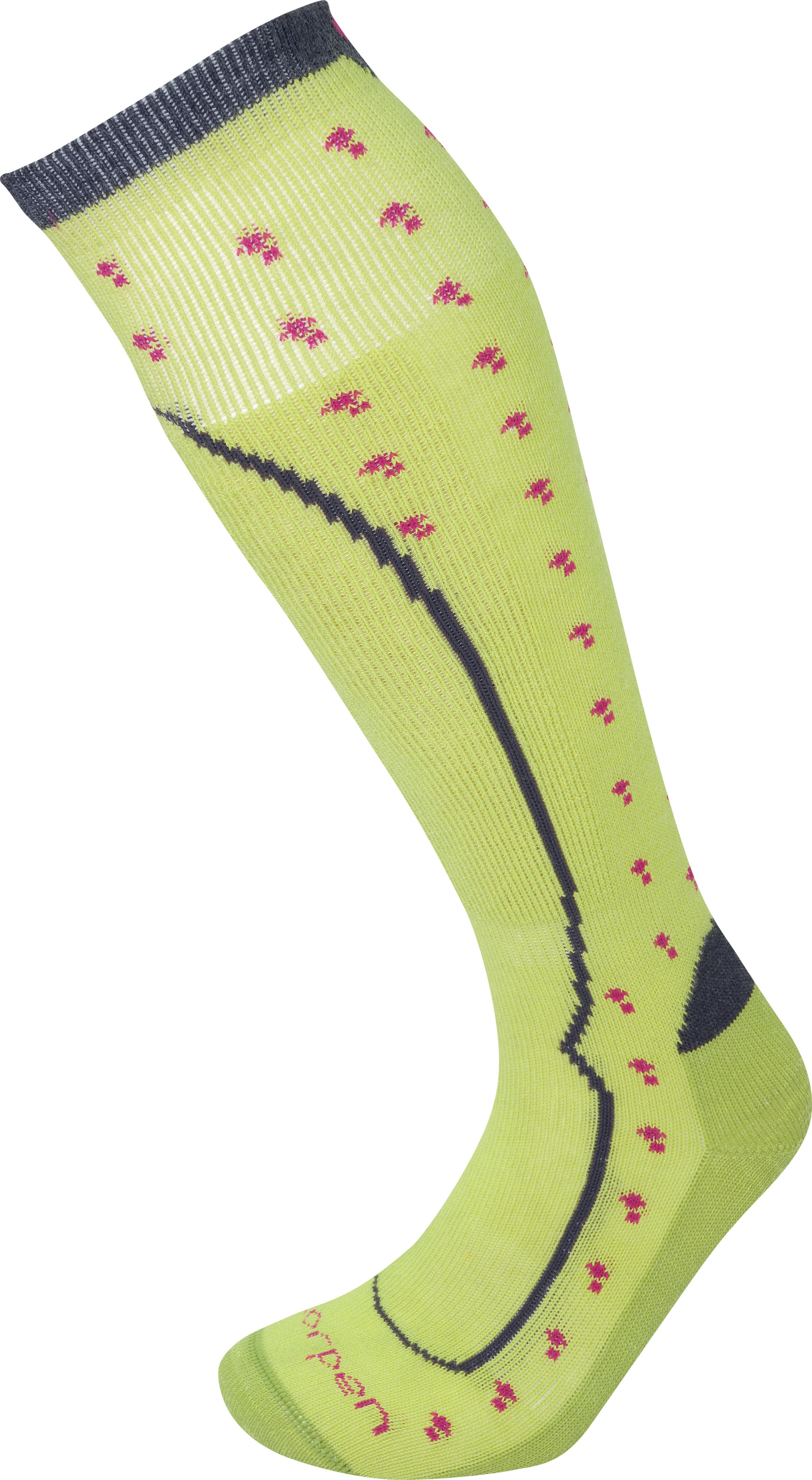

Носки Lorpen T2 Women's Ski Light S2SWL Pistachio M (6310255 5894 M)