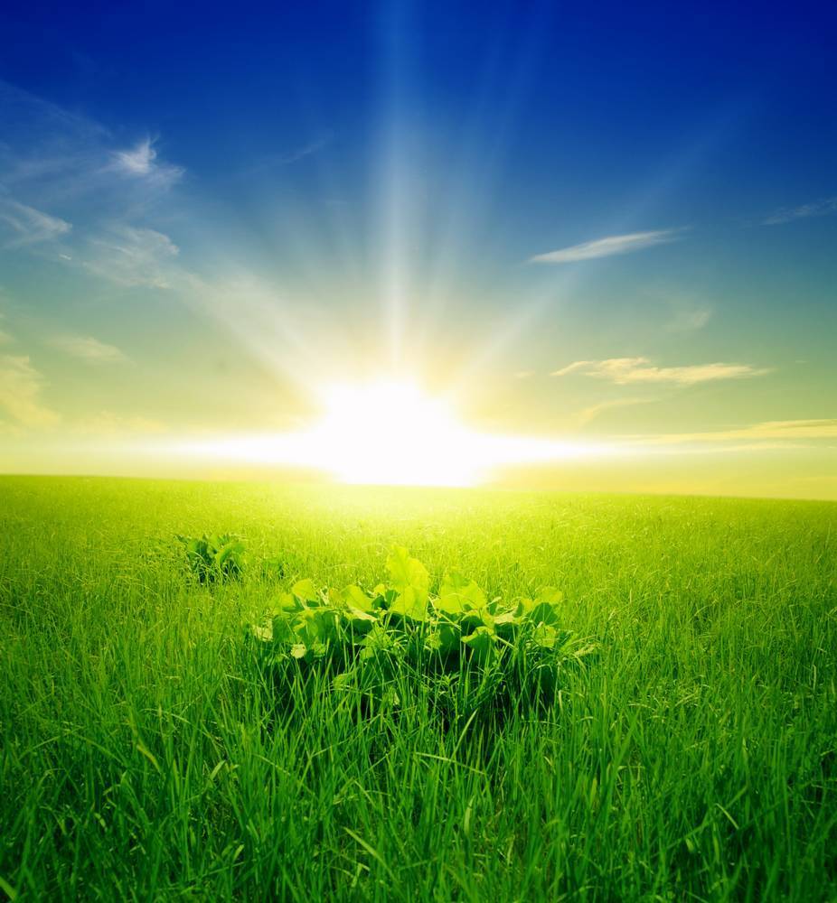 

Картина на холсте LaPrint Лето 90х90 см