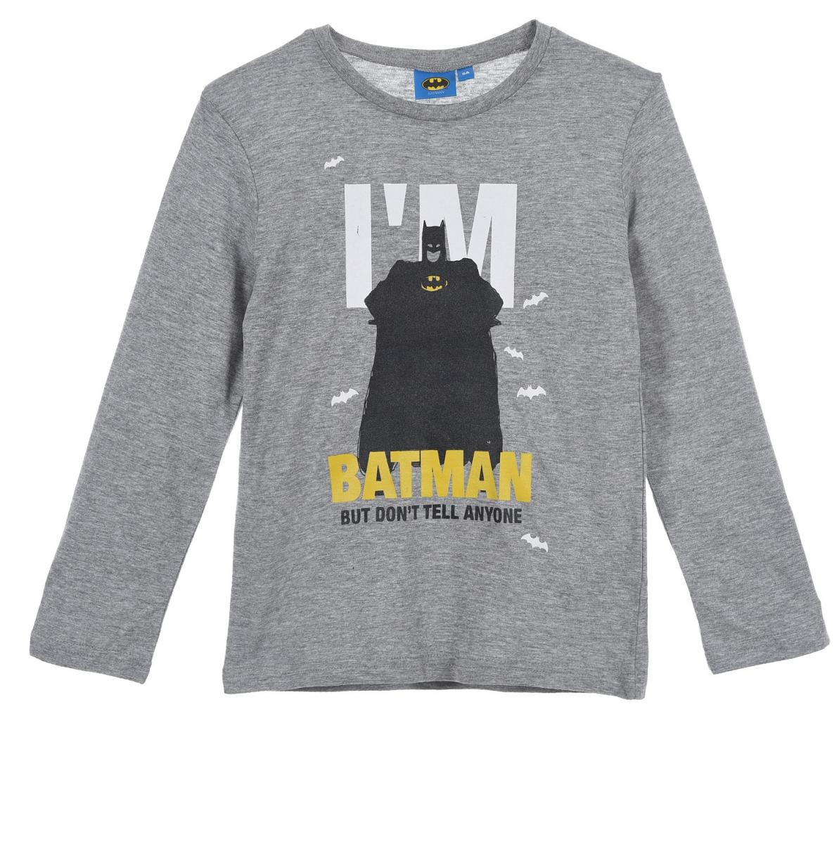 

Кофта Disney Batman (Бэтмен) см 098 Серый HS14232