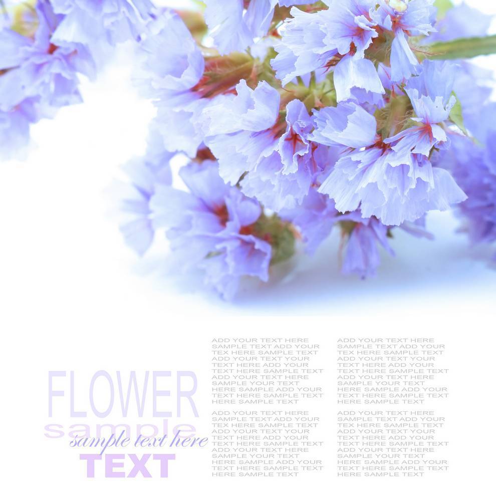 

Картина на холсте LaPrint Растения 90х90 см