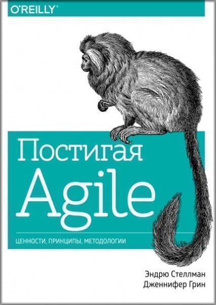 

Постигая Agile. Ценности, принципы, методологии 83944