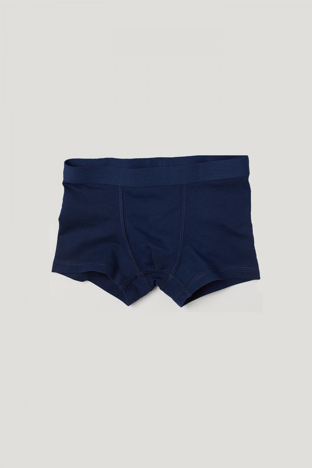 

Трусы H&M 98-104 (2-4y) Синие (5500-0658601024)