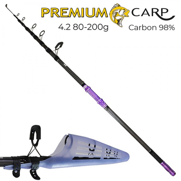 

Спиннинг телекарп "Premium carp" 4.2м 80-200г (SF24127)