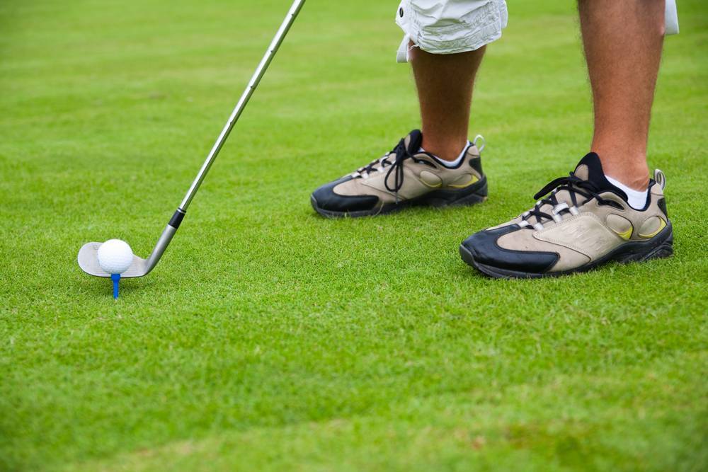 

Картина на холсте LaPrint Гольф 90х60 см