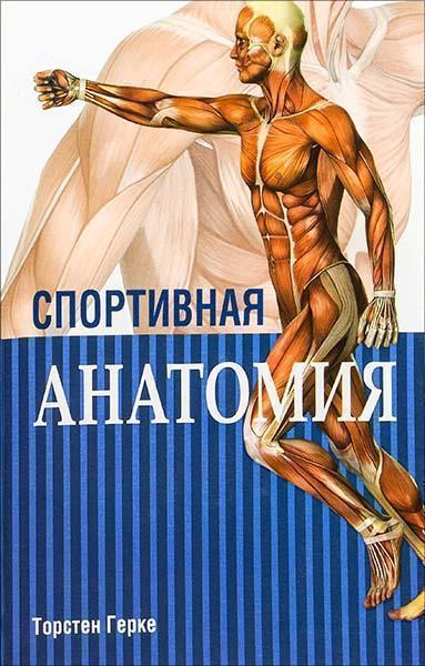 

Спортивная анатомия 85535