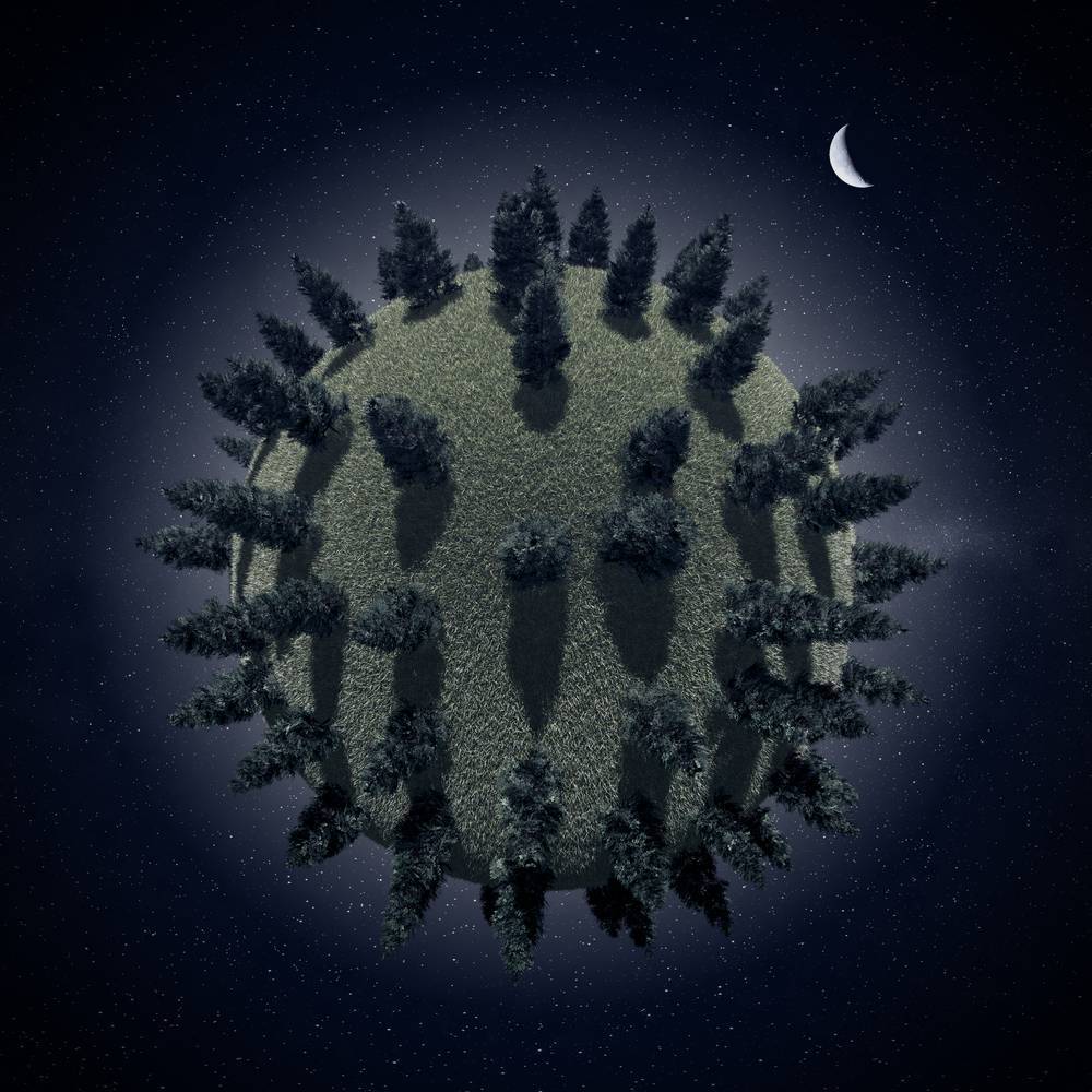 

Картина на холсте LaPrint Земля 120х120 см