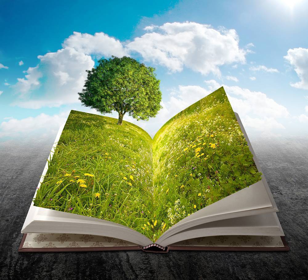 

Картина на холсте LaPrint Книги 60х60 см