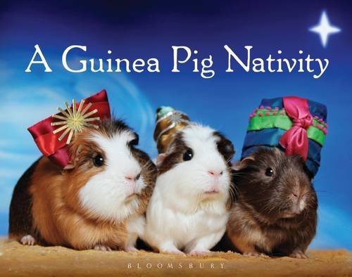 

A Guinea Pig Nativity