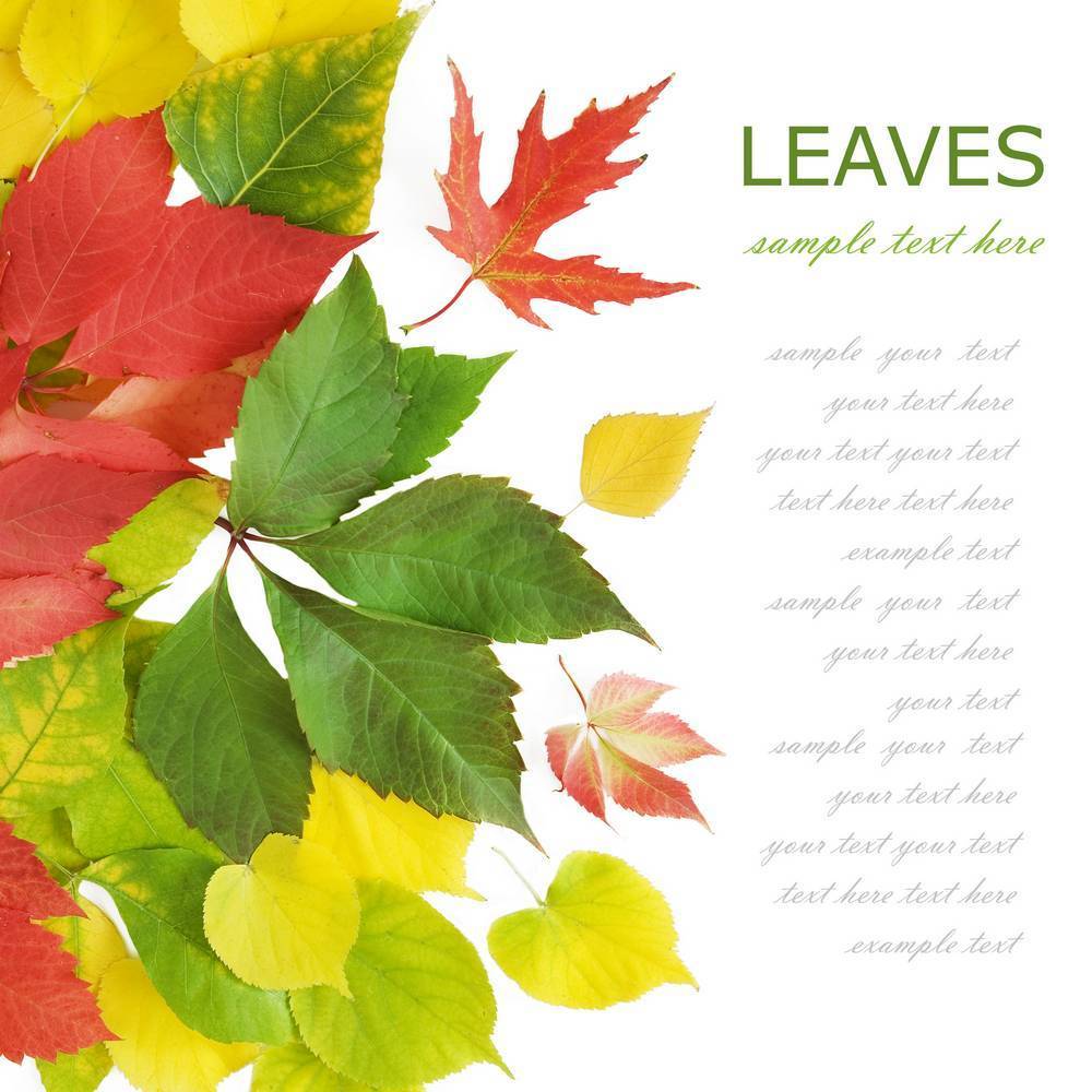 

Картина на холсте LaPrint Поры года 120х120 см