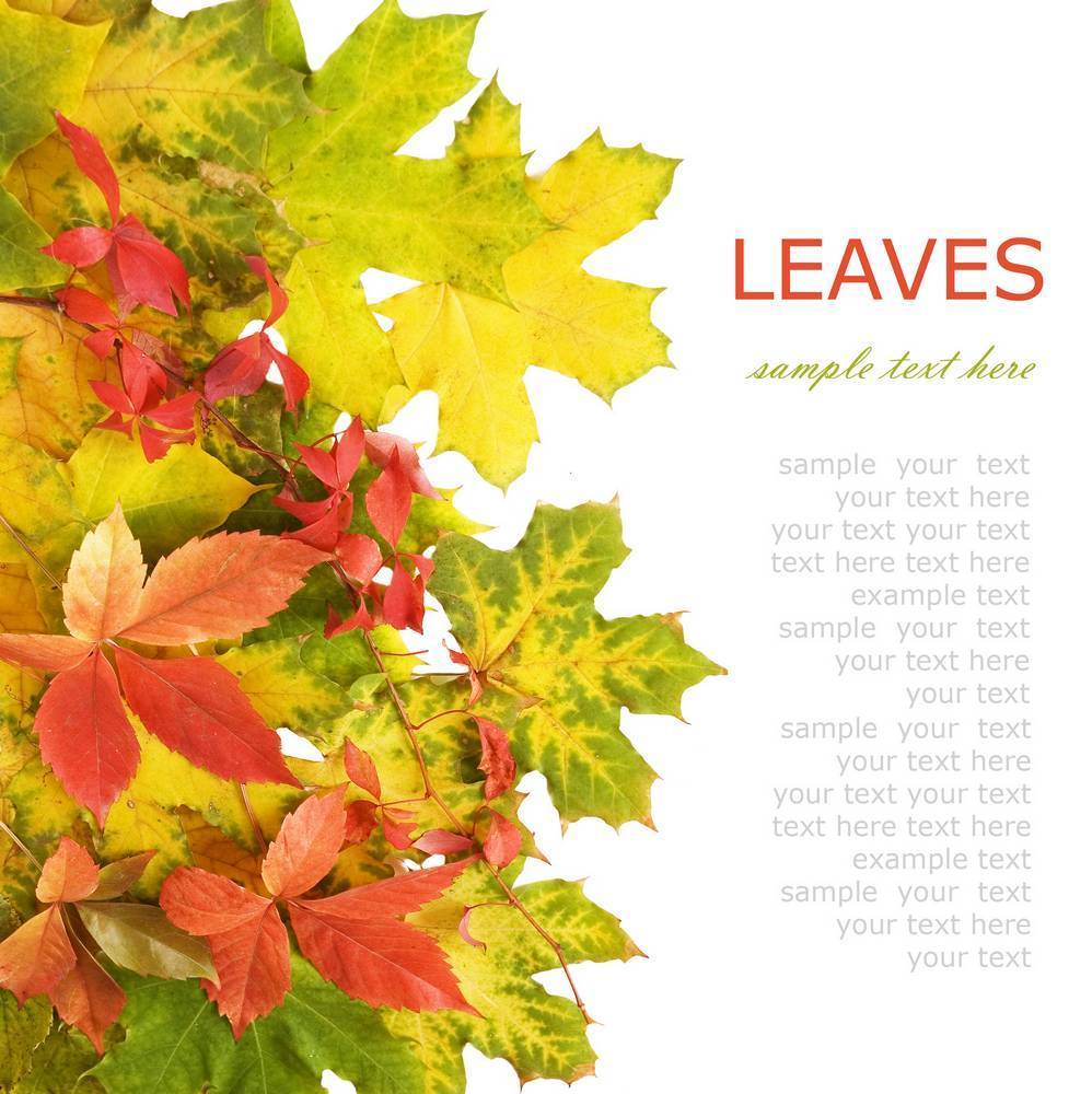 

Картина на холсте LaPrint Поры года 120х120 см