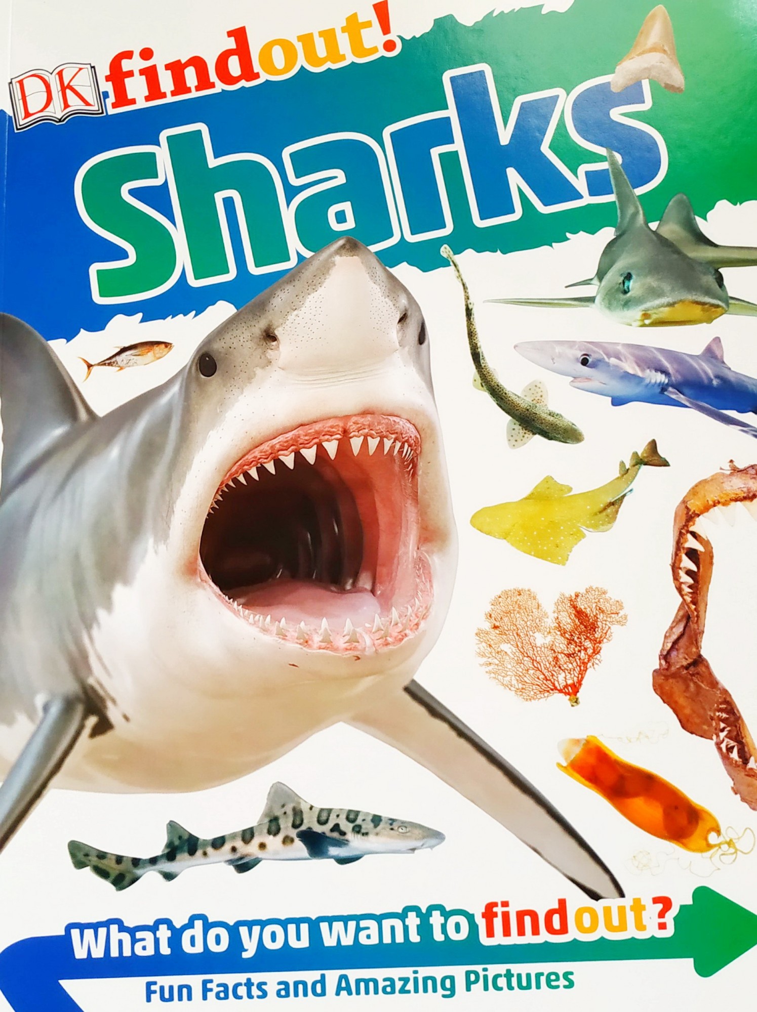 

Детская энциклопедия на английском Акулы DK findout! Sharks