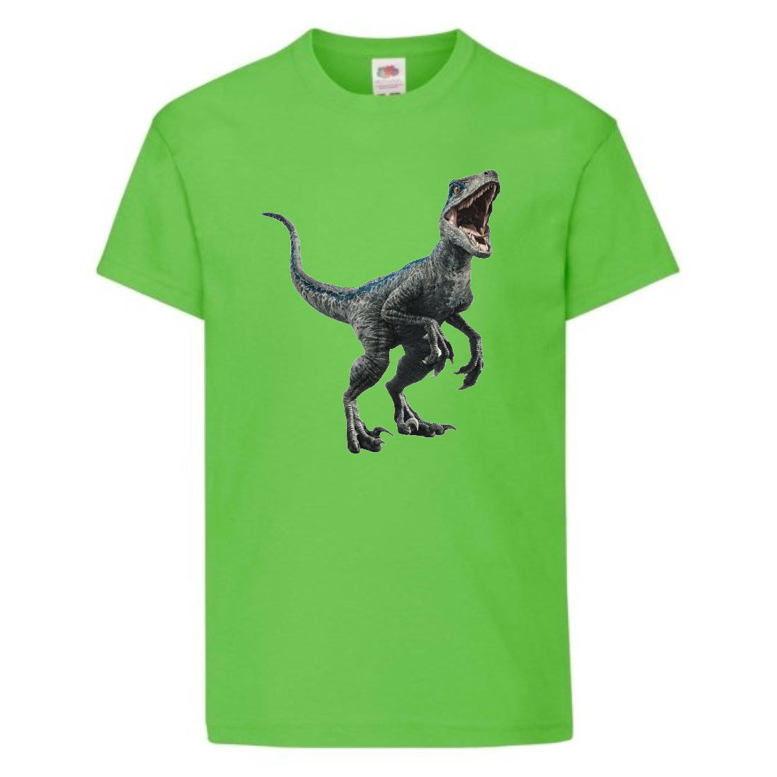 

Футболка детская Парк Юрского Периода 0016 (Jurassic Park) светлозеленая (JPK lgrn 0016) 152 см