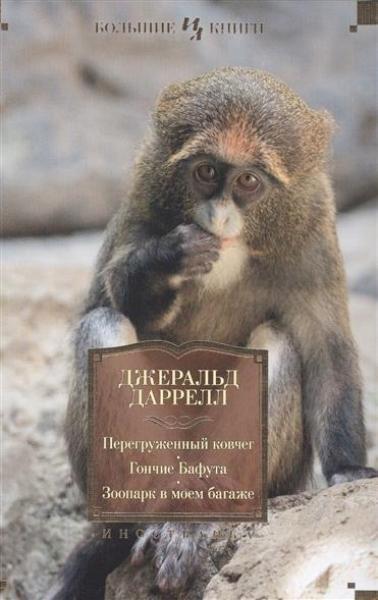 

Перегруженный ковчег. Гончие Бафута. Зоопарк в моем багаже 69278