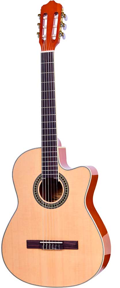 

Классическая гитара Rose TR-CG32-39 N