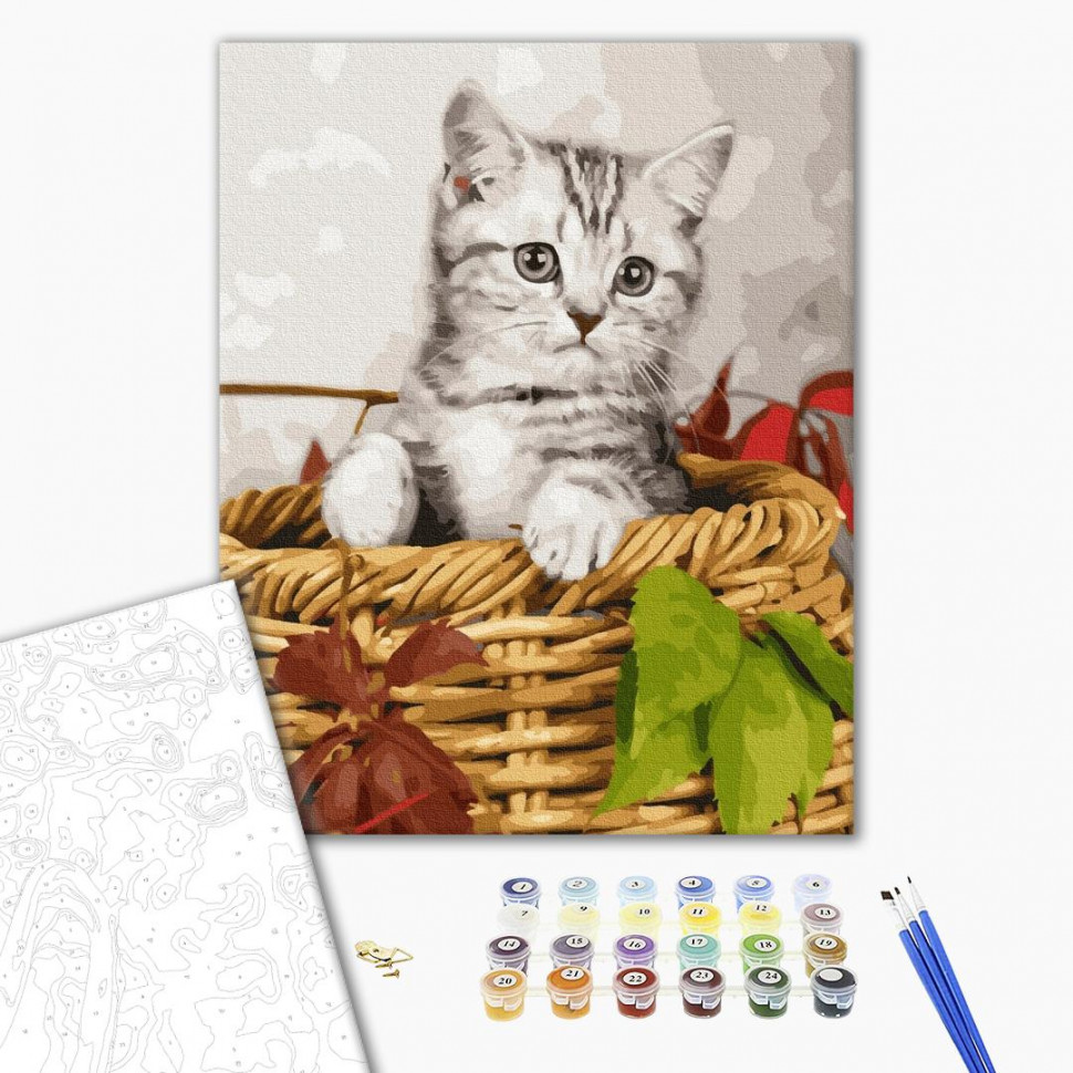 

Картина по номерам. Brushme "Котёнок в корзине" GX26366