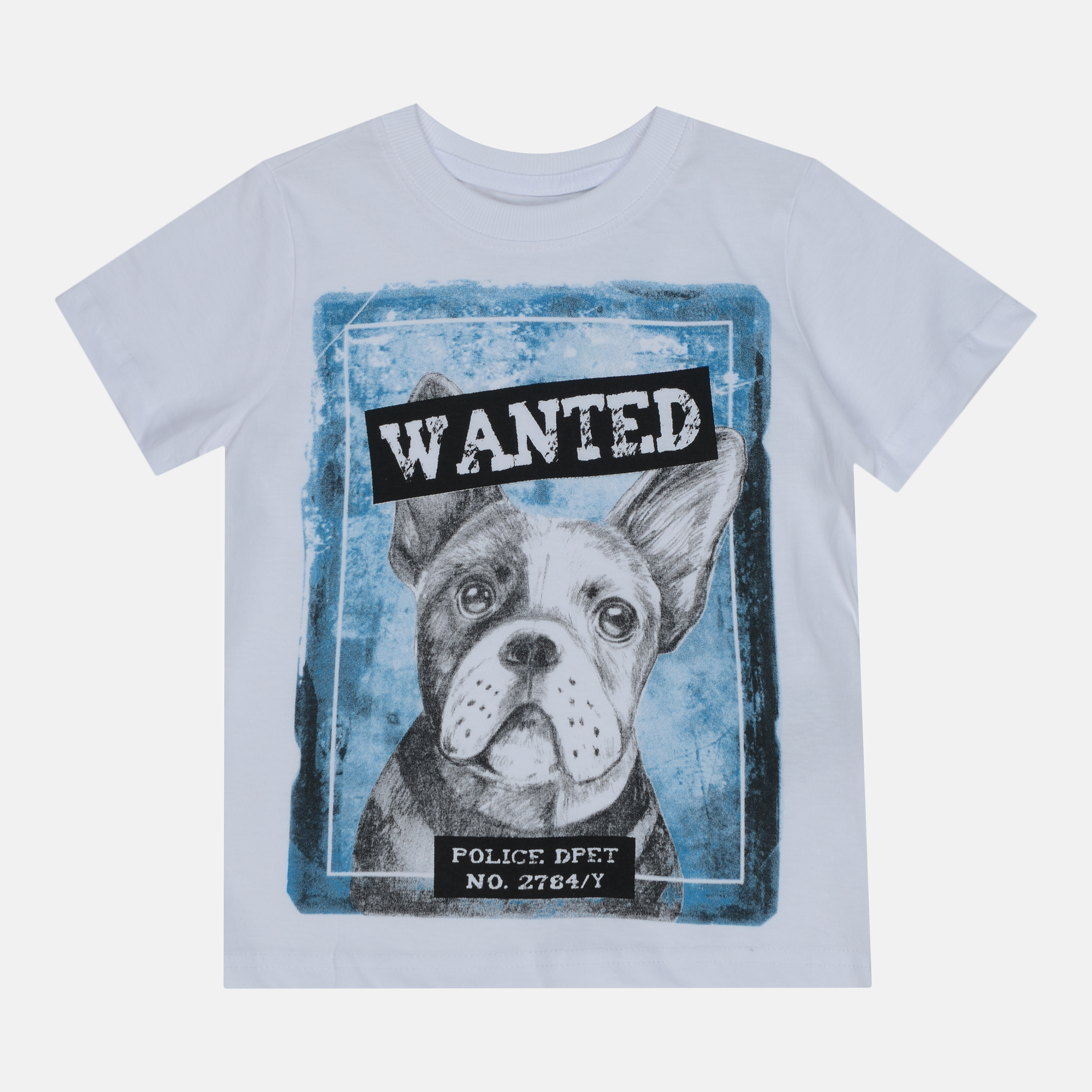 

Футболка Coccodrillo Everyday Dog WC1143202EDG-001 158 см Белая