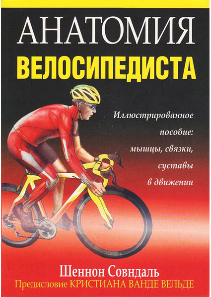 

Анатомия велосипедиста 95526