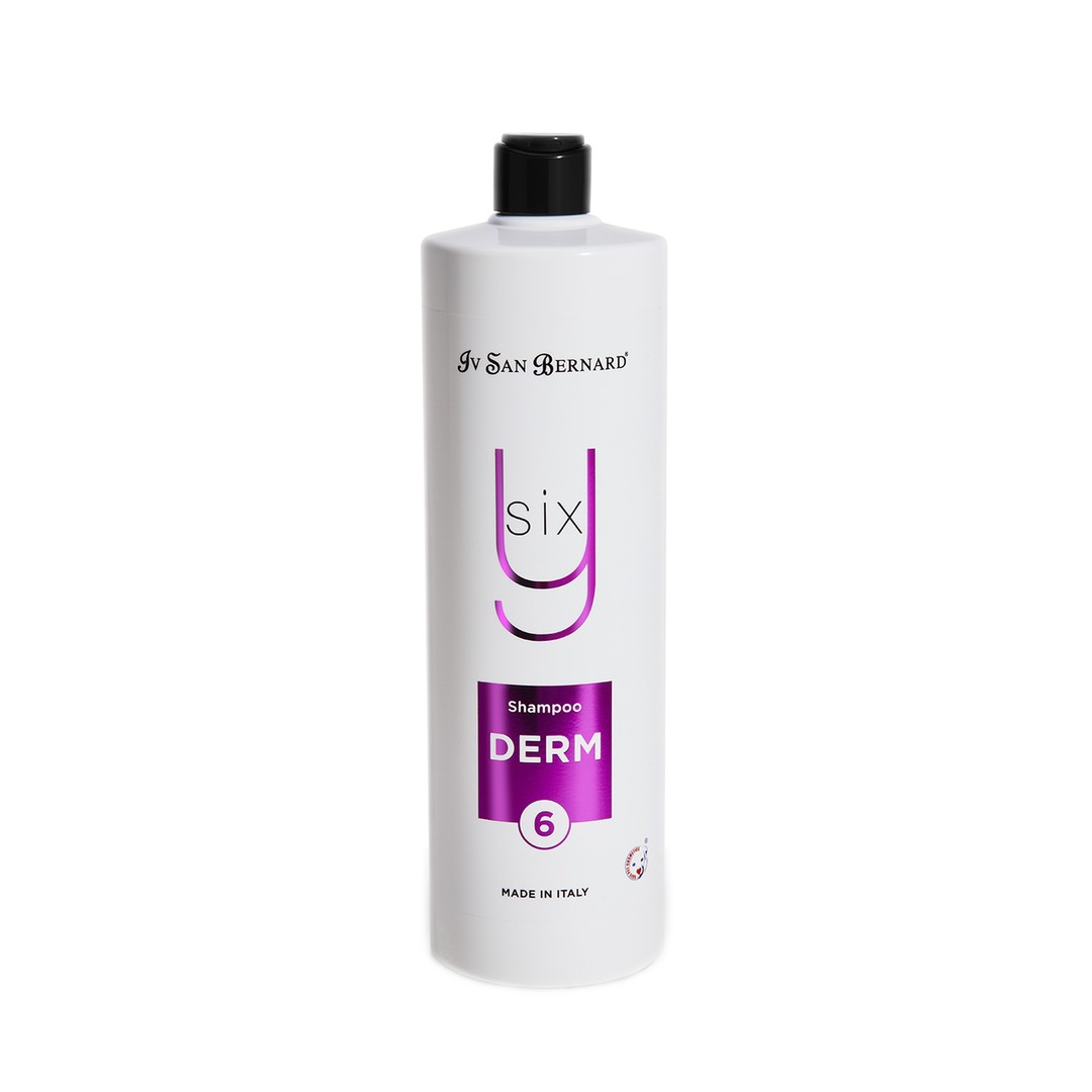 

Шампунь Iv San Bernard DERM SHAMPOO Y6Y, 1000 мл