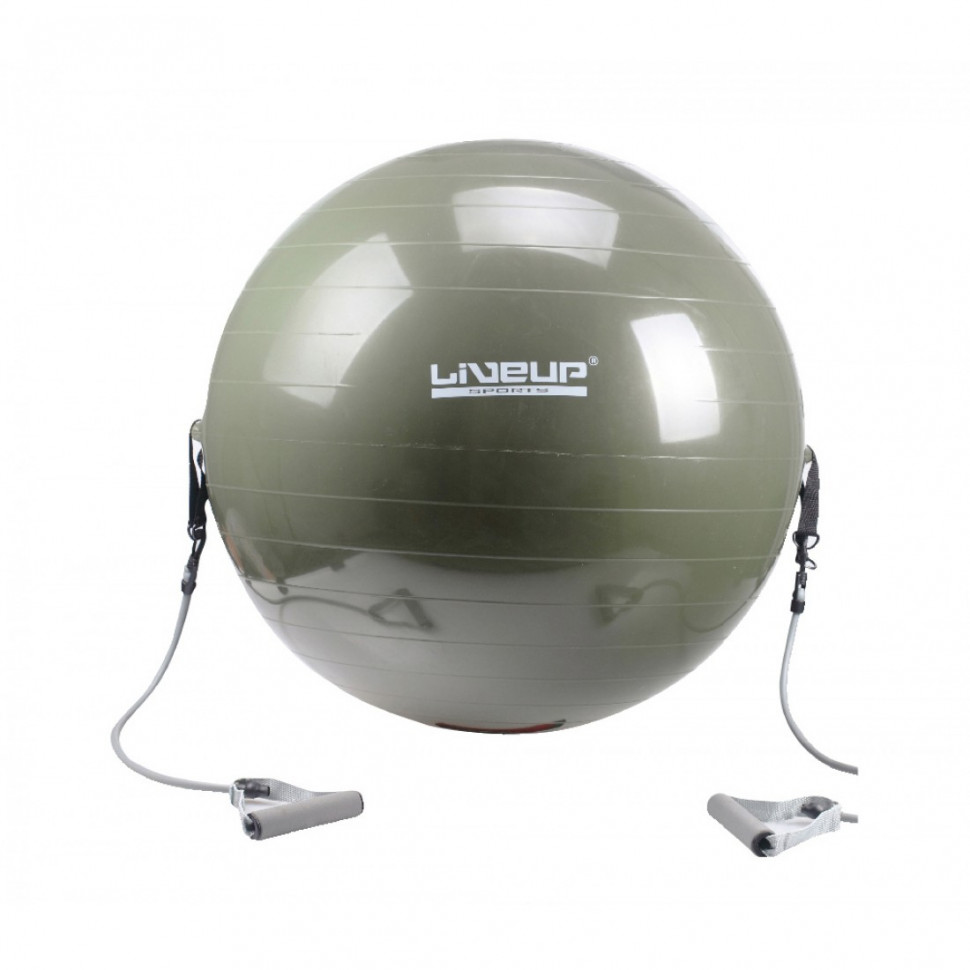 

Фитбол с эспандером LiveUp GYM BALL WITH EXPANDER LS3227 734-1103