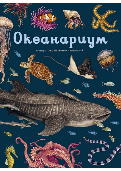 

Океанариум 97744