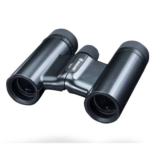 

Бинокль Vanguard Vesta Compact 10x21 WP Black Pearl (DAS301012) (F00242215)