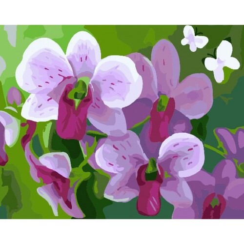 

Картина по номерам Dreamtoys Розовая орхидея 40 x 50 см Dreamtoys BGL-DTS-485
