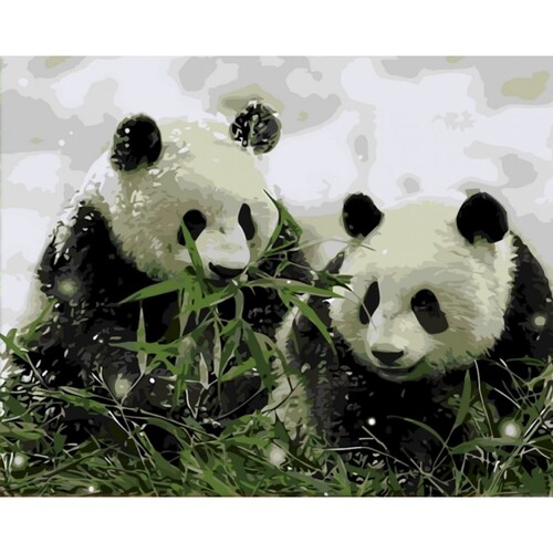 

Картина по номерам Dreamtoys Панды 40 x 50 см Dreamtoys BGL-DTS-460