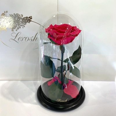 

Малиновая роза в колбе Lerosh - Premium 27 см (SKL15-279584)