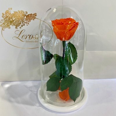 

Оранжевая роза в колбе Lerosh - Classic 27 см (SKL15-279556)