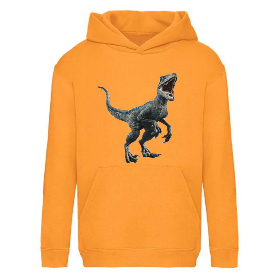 

Худи детская Парк Юрского Периода 0016 (Jurassic Park) оранжевый (JPK orn 0016) 152 см