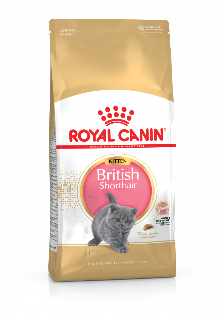 

Сухой корм для котят Royal Canin British Shorthair Kitten 2 кг (2566020)