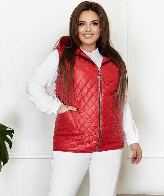 

Жилетка G&M k-77899  Размер цвет красный, Жилетка G&M k-77899 52-54 Размер цвет красный