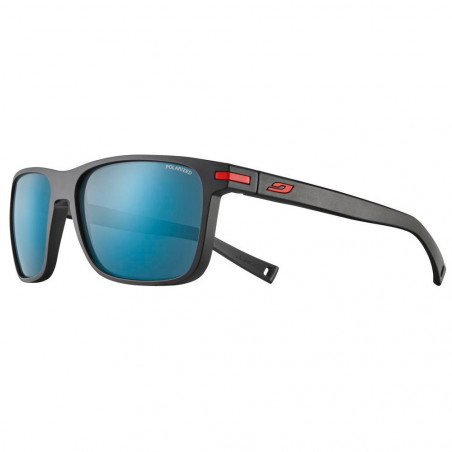 

Очки Julbo Wellington Polarized