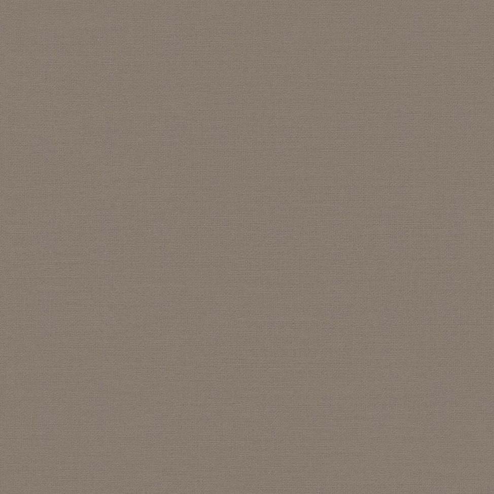 

Обои BN Atelier 219511 однотонные светло-коричневый 0.53 x 10.05 м