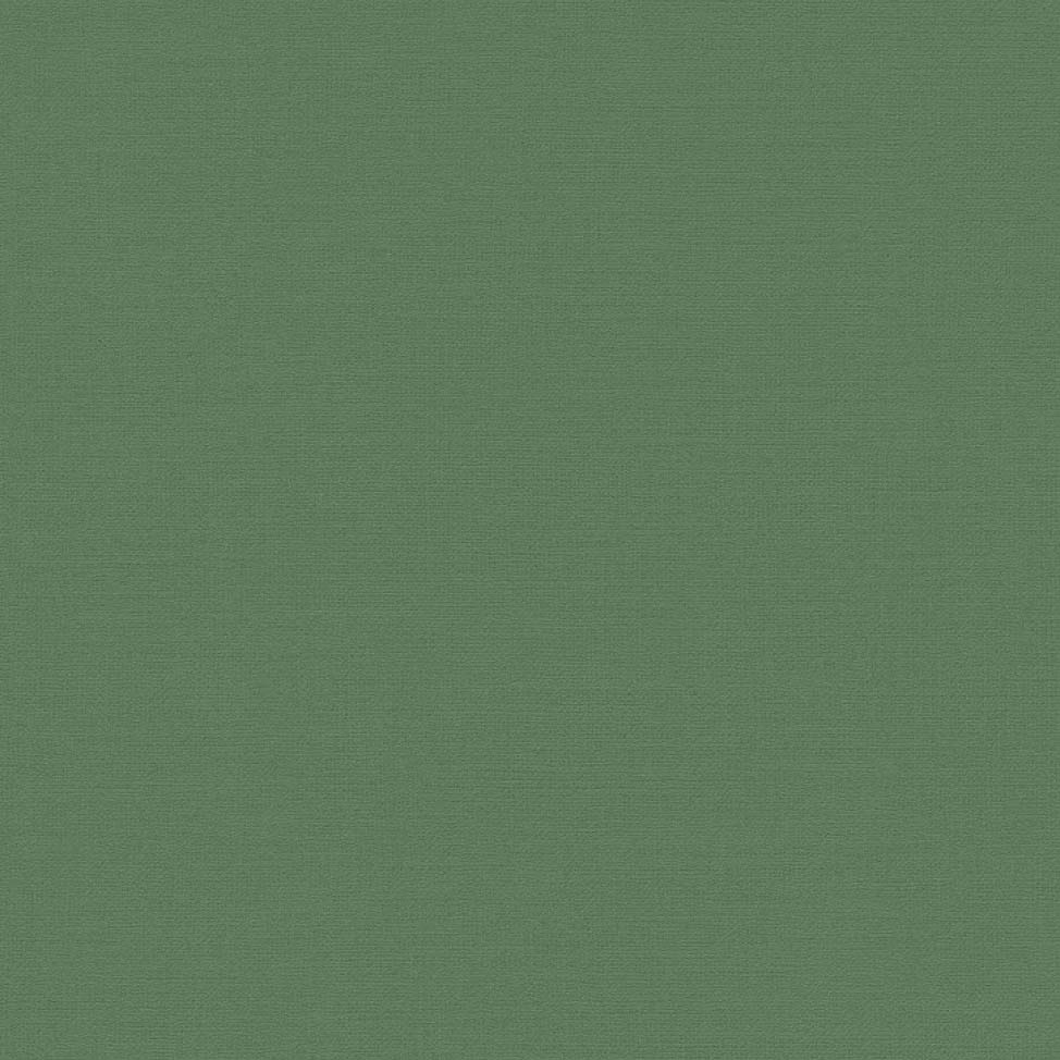 

Обои BN Atelier 219505 однотонные зеленый 0.53 x 10.05 м