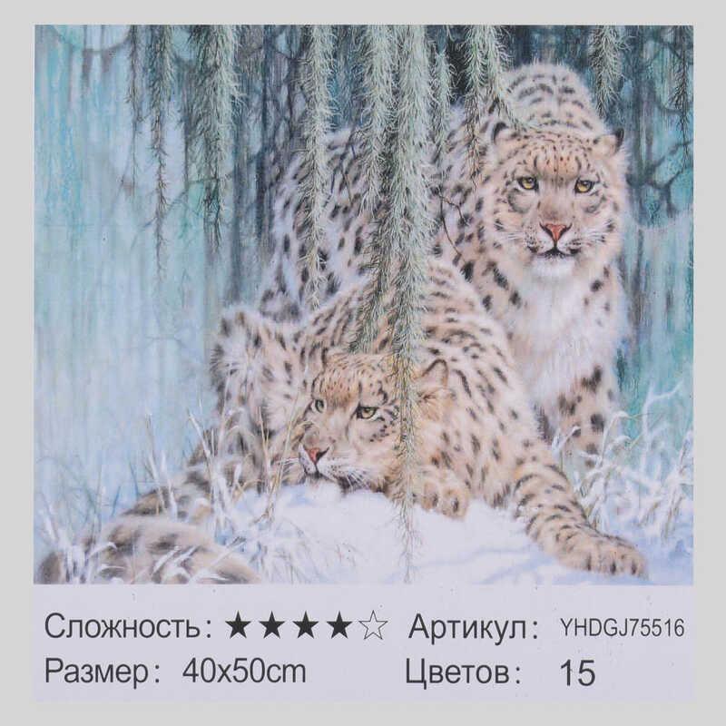 

Картина по номерам + Алмазная мозайка 2в1 YHDGJ 75516 (30) 50х40см