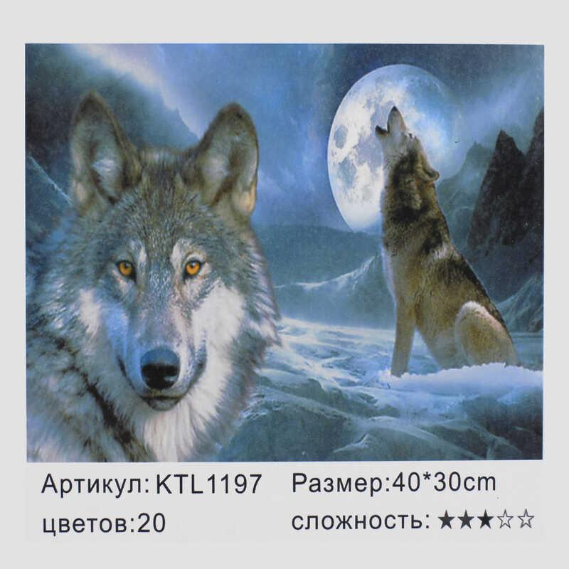 

Картина по номерам KTL 1197 (30) в коробке 40х30