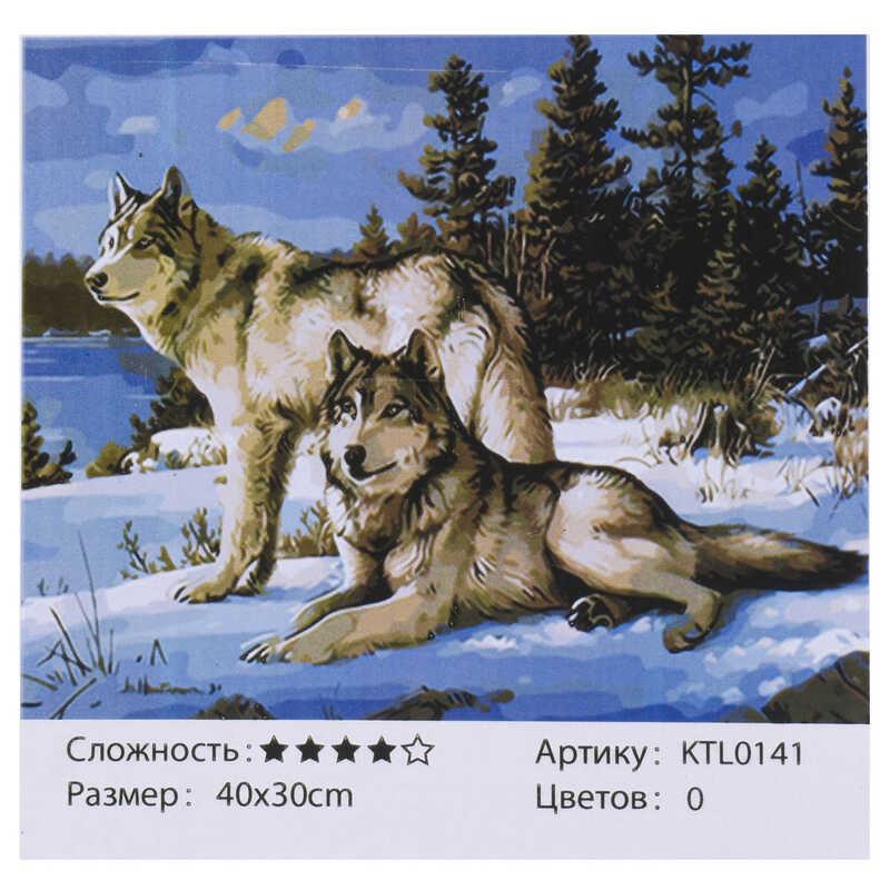

Картина по номерам KTL 0141 (30) 40х30см, в коробке