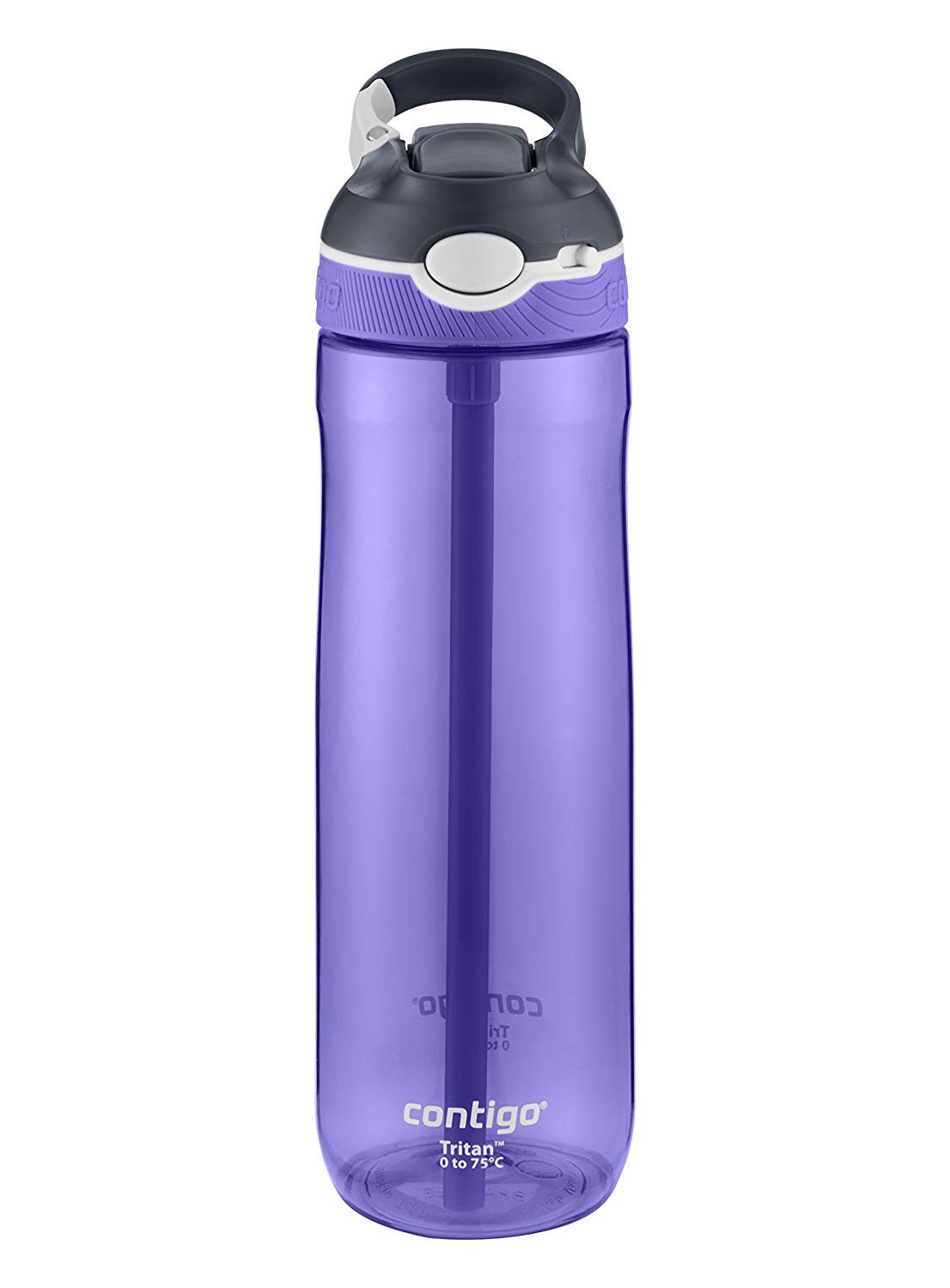 Бутылка для воды Contigo Ashland 710 мл Grapevine (2074342-1) – низкие ...