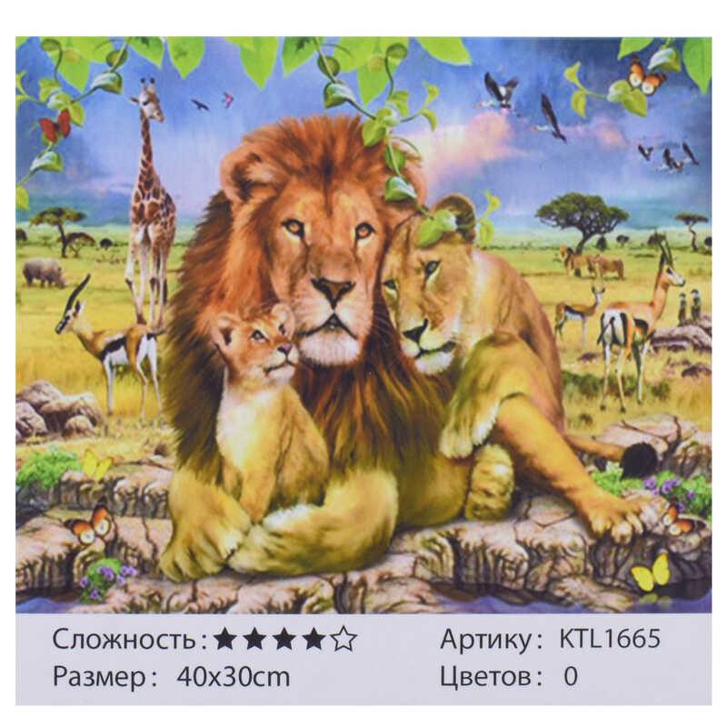 

Картина по номерам KTL 1665 (30) 40х30см, в коробке