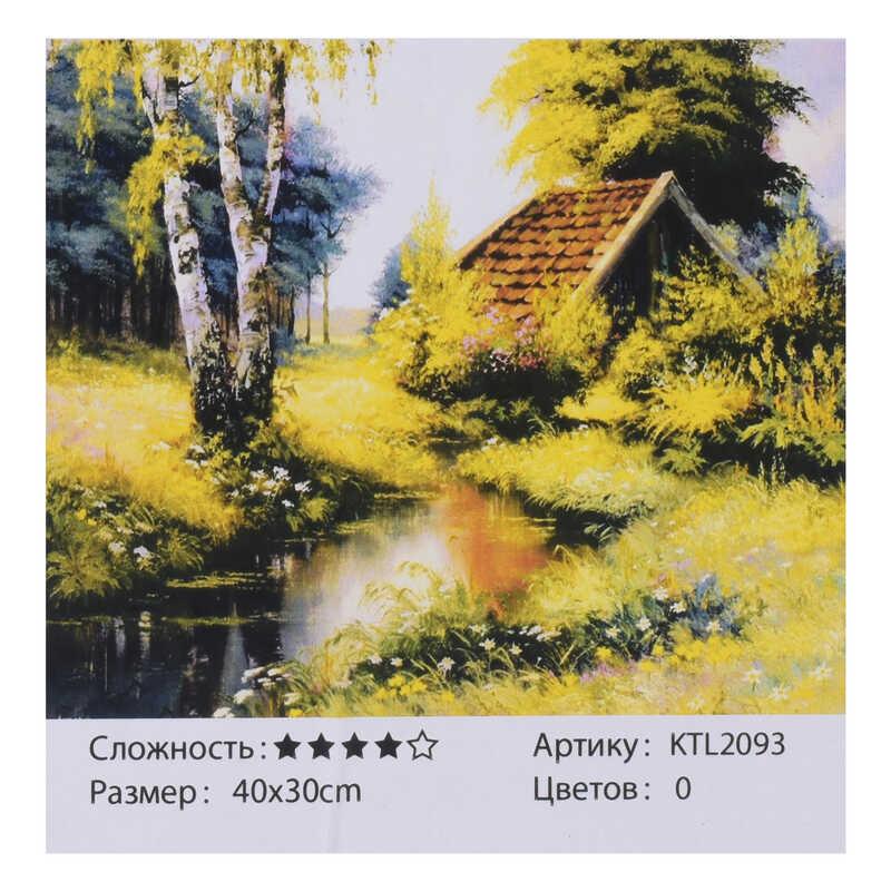 

Картина по номерам KTL 2093 (30) 40х30см, в коробке