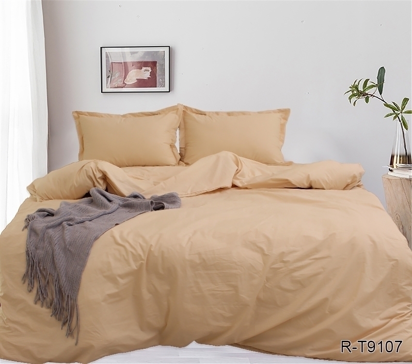 

Комплект постельного белья ТМ TAG хлопок на молнии King Size Капучино R-T9107